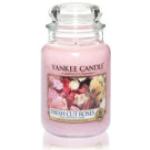 Pastellrosa Yankee Candle Duftkerzen Rosen aus Baumwolle 