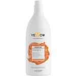 Yellow (Alfaparf Group) Shampoo Repair - 1000 ml